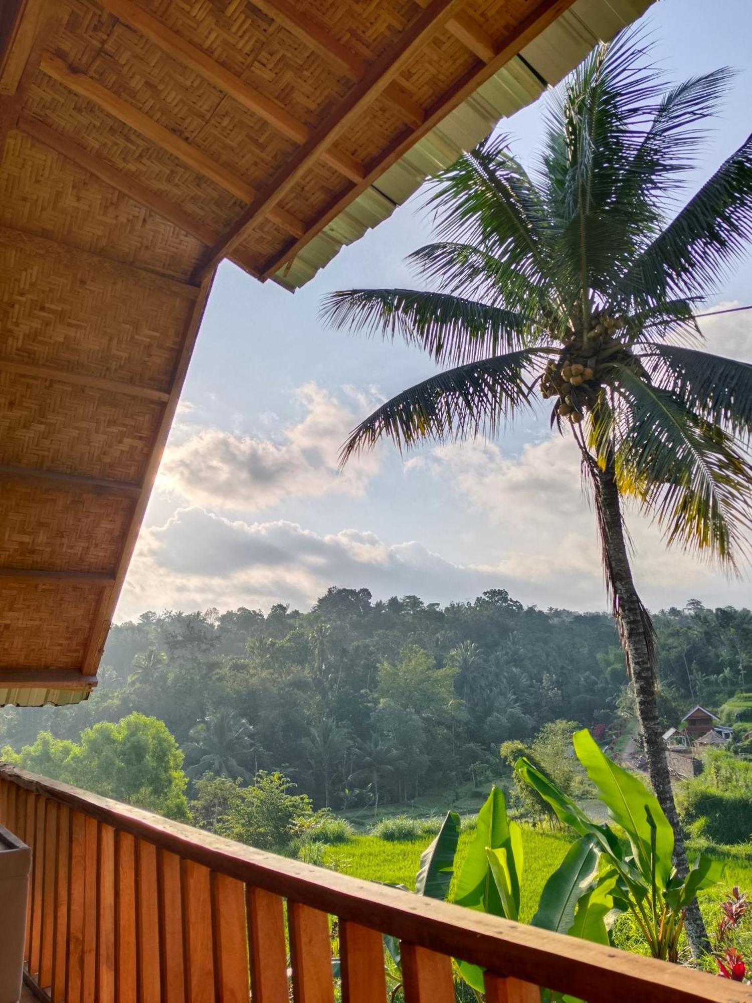 Dewi Rinjani Homestay Тетебату Екстер'єр фото