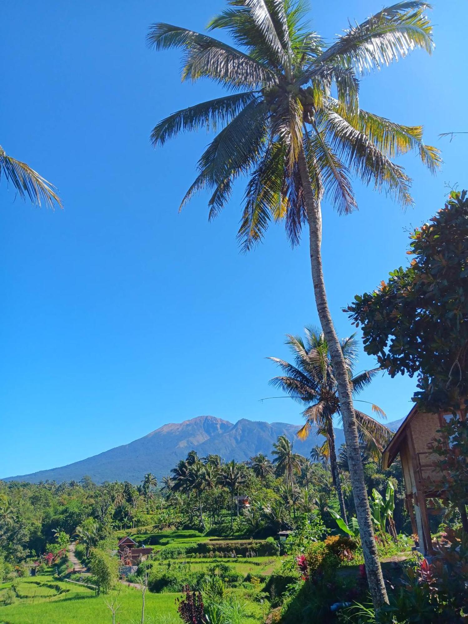 Dewi Rinjani Homestay Тетебату Екстер'єр фото
