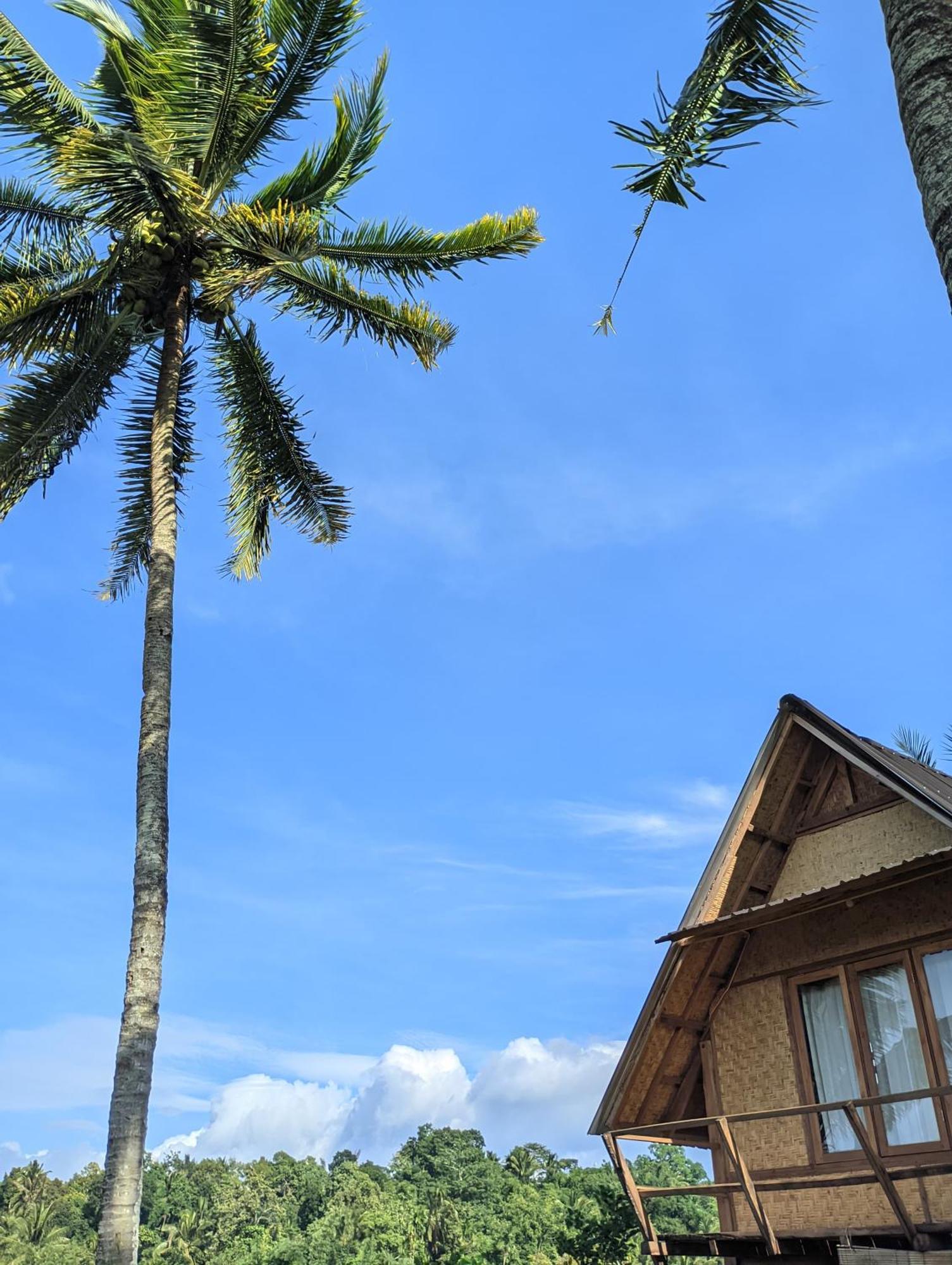 Dewi Rinjani Homestay Тетебату Екстер'єр фото